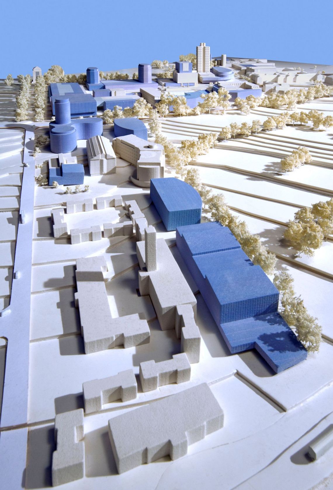 University of Leicester Development Framework Plan